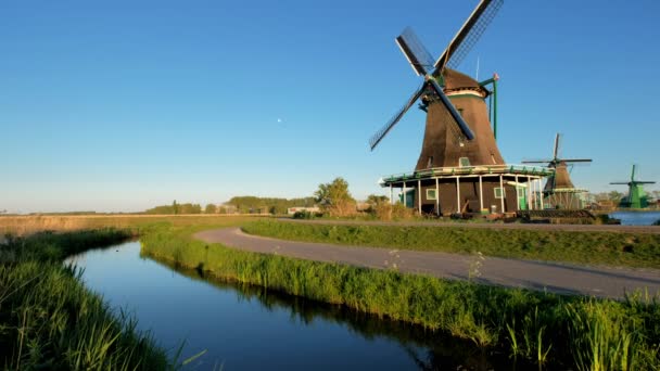 Windmills Famous Tourist Site Zaanse Schans Holland Zaandam Netherlands — Stock Video