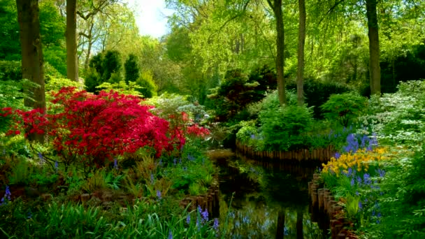 Keukenhof Jardín Flores También Conocido Como Jardín Europa Uno Los — Vídeo de stock