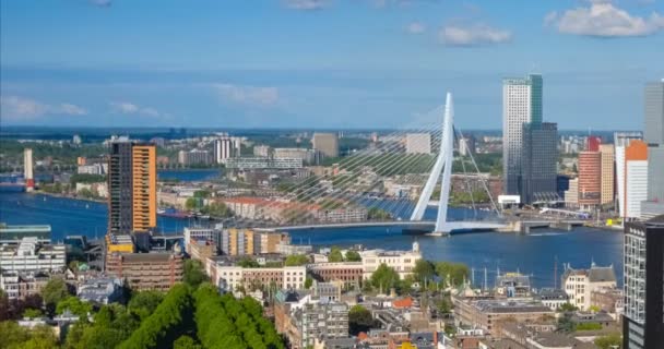 Vista Cidade Roterdão Ponte Erasmus Erasmusbrug Sobre Rio Nieuwe Maas — Vídeo de Stock