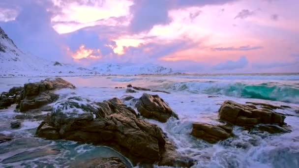 일몰에 해안에 노르웨이 바다의 Skagsanden Lofoten 노르웨이 — 비디오