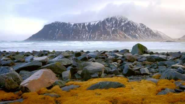 フィヨルドの岩の海岸でノルウェーの海の波が衝突する スカッグデンビーチ フラクスタッド ロフテン諸島 ノルウェー — ストック動画