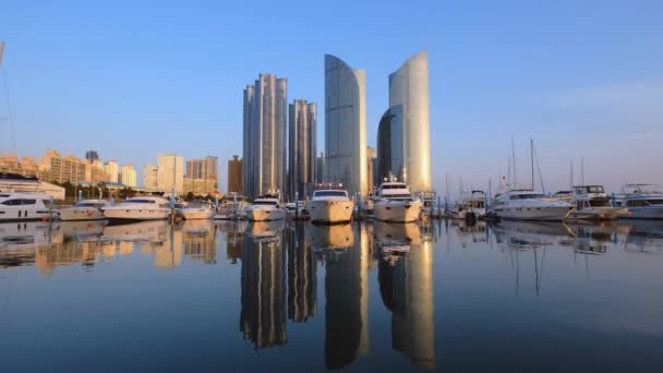 Busan Marina Med Båtar Marine City Skyskrapor Med Reflektion Över — Stockvideo