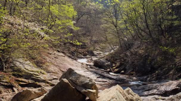 Biryong Falls Národní Park Seoraksan Jižní Korea — Stock video