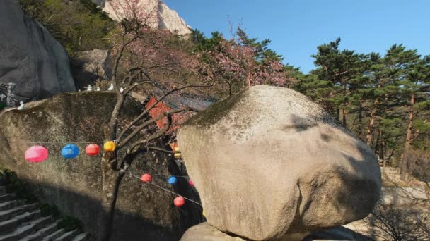 Храм Киджоам Сокгул Эрмитаж Национальном Парке Сеороксан Южная Корея — стоковое видео
