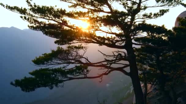 Sol Atardecer Través Pino Roca Ulsanbawi Parque Nacional Seoraksan Corea — Vídeo de stock
