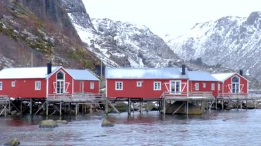 Norveç 'in en eski balıkçı köylerinden biri olan Nusfjord' daki fiyort yığınlarındaki kırmızı ahşap rorbu evleri. Lofoten Adaları, Norveç