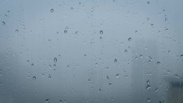 雨滴滴在窗玻璃上 — 图库视频影像