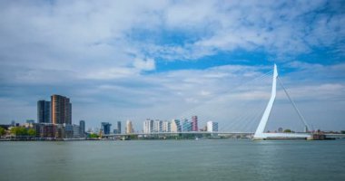 Rotterdam şehir manzarası ve Nieuwe Maas üzerindeki Erasmus köprüsü. Rotterdam, Hollanda