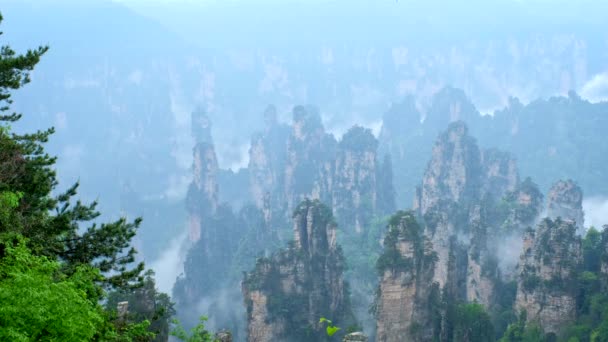 Famous Tourist Attraction China Zhangjiajie Stone Pillars Cliff Mountains Fog — Stock Video