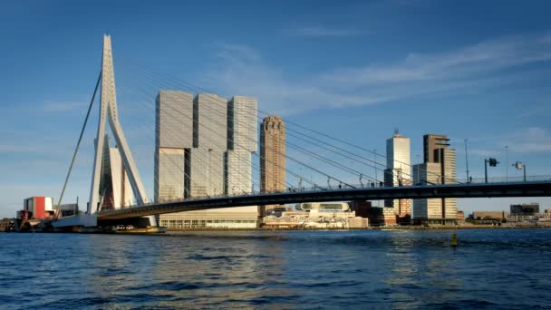 Rotterdam Şehir Manzarası Gün Batımında Nieuwe Maas Üzerindeki Erasmus Köprüsü — Stok video