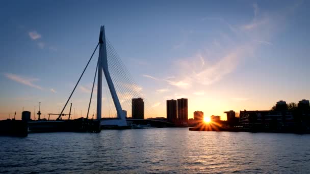 ロッテルダムの街並みとエラスムス橋のシルエットは 日没にニーダ マースの上にあります ロッテルダム オランダ — ストック動画
