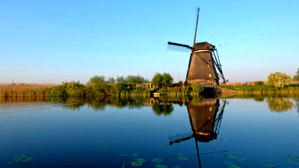 Windmühlen Berühmten Touristenort Kinderdijk Holland Bei Sonnenuntergang Kinderdijk Niederlande — Stockvideo