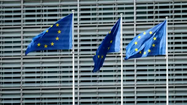 Bandeiras Frente Edifício Berlaymont Sede Comissão Europeia Bruxelas — Vídeo de Stock