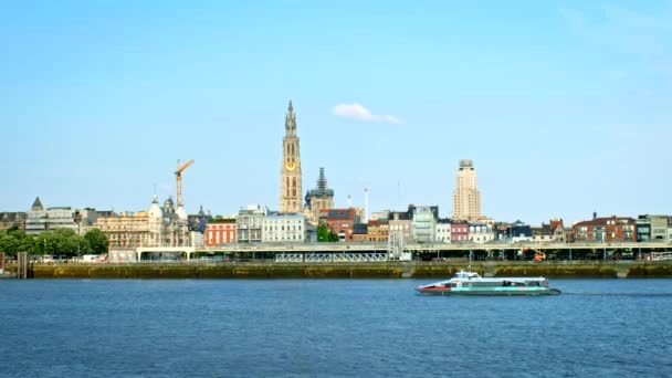 Άποψη Της Αμβέρσας Πάνω Από Τον Ποταμό Scheldt Βέλγιο — Αρχείο Βίντεο