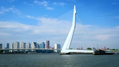 Rotterdam şehir manzarası ve Nieuwe Maas üzerindeki Erasmus köprüsü. Rotterdam, Hollanda. Kamera kaydıyla