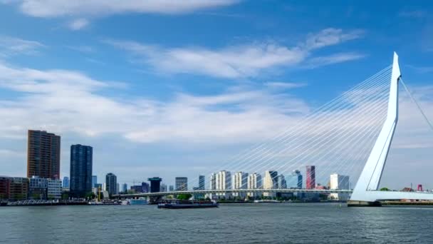 Zeitraffer Des Rotterdamer Stadtbildes Und Der Erasmusbrücke Über Nieuwe Maas — Stockvideo
