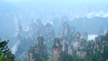 Çin - Zhangjiajie taş ünlü turistik uçurum Dağları sis bulutları Wulingyuan, Hunan, Çin, sütun. Kamera pan ile