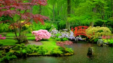 Japon bahçesinde küçük bir köprü, Park Clingendael, Lahey, Hollanda yağmurda