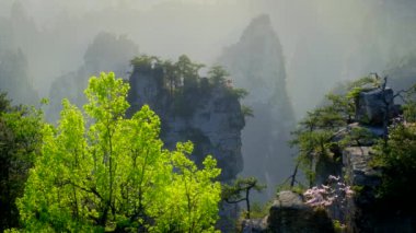 Çin 'in ünlü turistik merkezi - Zhangjiajie taştan sütunları, Wulingyuan, Hunan, Çin' de günbatımında ince ince bir zeka.