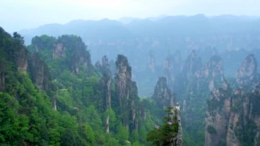 Çin - Zhangjiajie taş ünlü turistik uçurum Dağları sis bulutları Wulingyuan, Hunan, Çin, sütun. Kamera pan ile