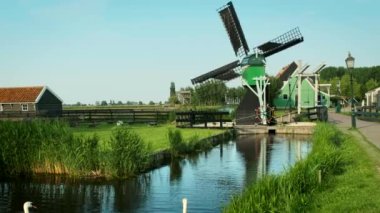 Hollanda 'nın ünlü turizm sahası Zaanse Schans' taki yel değirmenlerinde kuğular olan Hollanda kırsalları. Zaandam, Hollanda. Kamera kaydıyla
