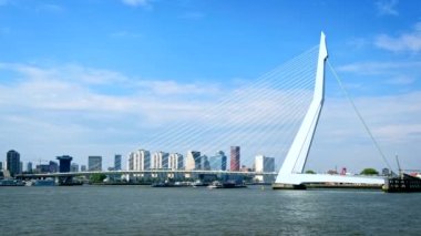 Rotterdam şehir manzarası ve Nieuwe Maas üzerindeki Erasmus köprüsü. Rotterdam, Hollanda