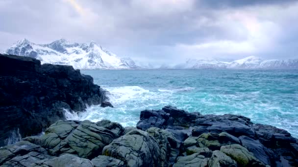 Vågor Norska Havet Krossning Klippiga Kusten Fjorden Vikten Lofoten Öarna — Stockvideo