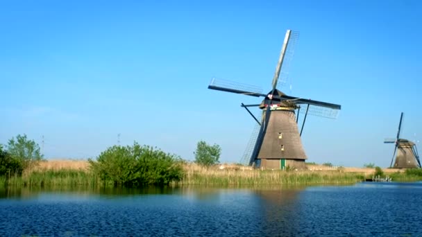 Landelijk Landelijk Dorpsgezicht Windmolens Beroemde Kinderdijk Nederland Kinderdijk Nederland — Stockvideo