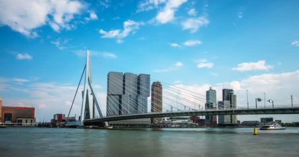 Timelapse Rotterdam Cityscape Erasmus Bridge Nieuwe Maas Rotterdam Nizozemsko Přiblížení — Stock video
