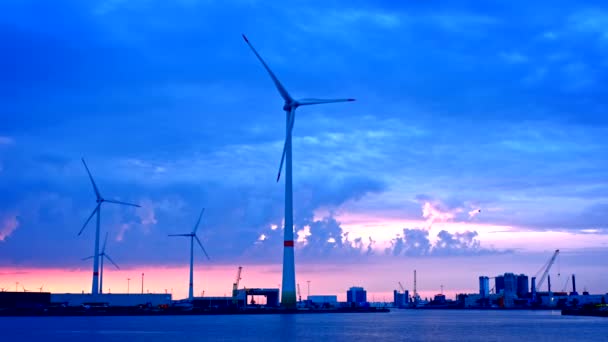 Turbiny Wiatrowe Porcie Antwerpii Wieczorem Antwerpia Belgia — Wideo stockowe