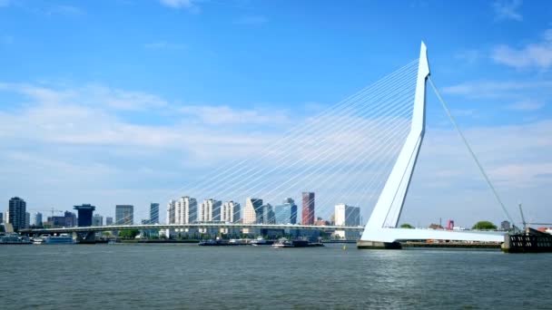 Uitzicht Het Rotterdamse Stadsgezicht Erasmusbrug Nieuwe Maas Rotterdam Nederland — Stockvideo