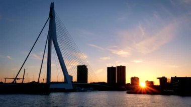 Rotterdam şehir manzarası ve Nieuwe Maas üzerindeki Erasmus köprüsü silueti. Rotterdam, Hollanda