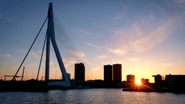 Rotterdams Stadsgezicht Erasmus Brugsilhouet Nieuwe Maas Bij Zonsondergang Rotterdam Nederland — Stockvideo