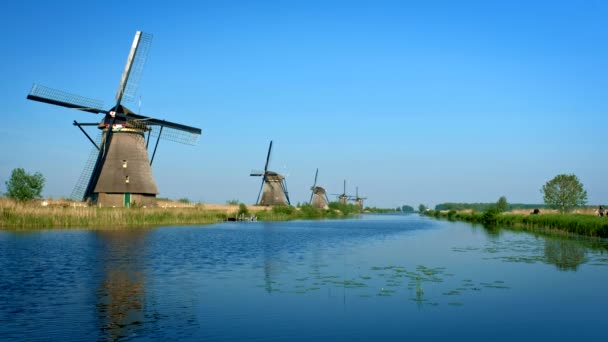 Landelijk Landelijk Dorpsgezicht Windmolens Beroemde Kinderdijk Nederland Kinderdijk Nederland — Stockvideo