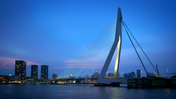 Erasmus Köprüsü Erasmusbrug Rotterdam Gökdelenleri Gece Aydınlandı Rotterdam Hollanda — Stok video