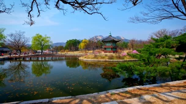 Pavilhão Hyangwonjeong Gyeongbokgung Palace Seul — Vídeo de Stock