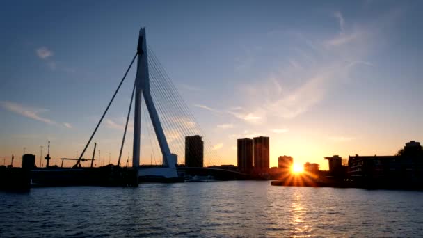 ロッテルダムの街並みとエラスムス橋のシルエットは 日没にニーダ マースの上にあります ロッテルダム オランダ — ストック動画