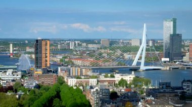 Rotterdam şehir ve Euromast Nieuwe Maas nehri üzerinde Erasmus Köprüsü köprü görünümü