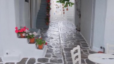 Yunanistan 'ın ünlü Paros Adası' ndaki Naousa kasabasının çiçek açan begonvil çiçekli geleneksel badanalı evleri ile pitoresk dar bir sokakta sabit kamerayla yürümek