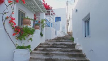 Yunanistan 'ın ünlü Paros Adası' ndaki Naousa kasabasının çiçek açan begonvil çiçekli geleneksel badanalı evleri ile pitoresk dar bir sokakta sabit kamerayla yürümek