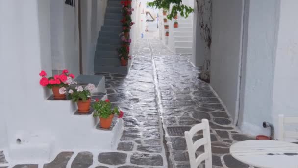 Walking Steadycam Picturesque Narrow Street Traditional Whitewashed Houses Blooming Bougainvillea — Stock Video