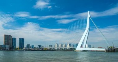 Rotterdam şehir manzarası ve Nieuwe Maas üzerindeki Erasmus köprüsü. Rotterdam, Hollanda. Etkin büyüt