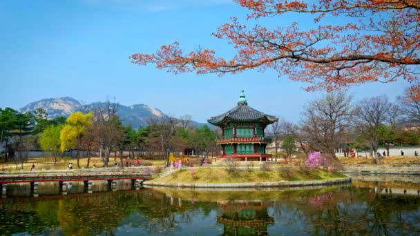 Pavilhão Hyangwonjeong Gyeongbokgung Palace Seul — Vídeo de Stock