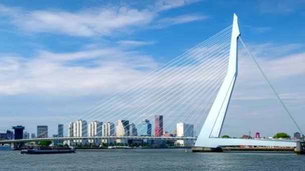 Timelapse Rotterdam Cityscape Erasmus Bridge Nieuwe Maas Rotterdam Netherlands Camera — Stock Video