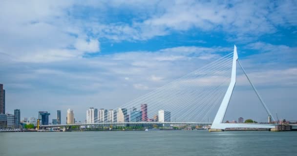 Timelapse Rotterdam Cityscape Erasmus Bridge Nieuwe Maas Rotterdam Nizozemsko — Stock video