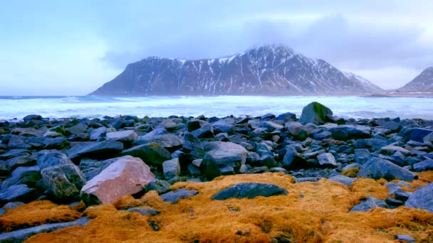 Waves Norwegian Sea Crushing Rocky Coast Fjord Skagsanden Beach Flakstad — Stock Video