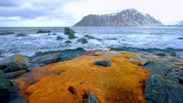 Κύματα Νορβηγικής Θάλασσας Που Συνθλίβουν Βραχώδεις Ακτές Στο Φιόρδ Skagsanden — Αρχείο Βίντεο