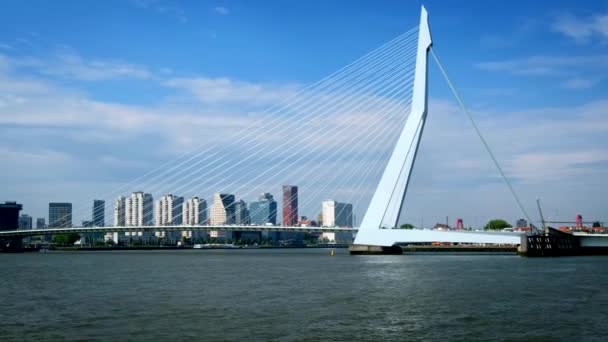 Pohled Město Rotterdam Most Erasmus Přes Nieuwe Maas Rotterdam Nizozemsko — Stock video