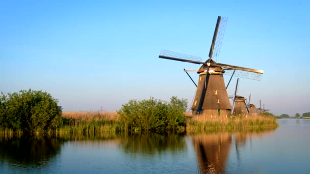 Väderkvarnar Den Berömda Turistanläggningen Kinderdijk Holland Vid Solnedgången Kinderdijk Nederländerna — Stockvideo