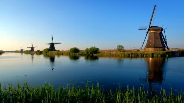夕日にはオランダの有名な観光地のウィンドミルズ キンダイク オランダ — ストック動画